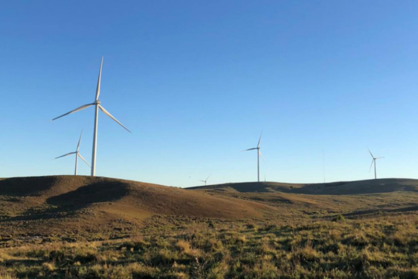 En 2025 el 98% de la generación eléctrica en Uruguay fue de origen renovable